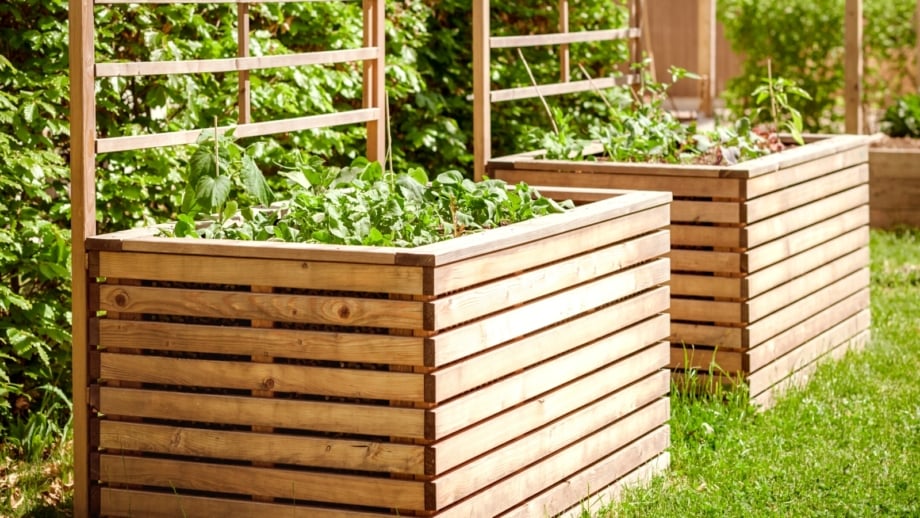 What's the Best Wood for Raised Garden Beds?