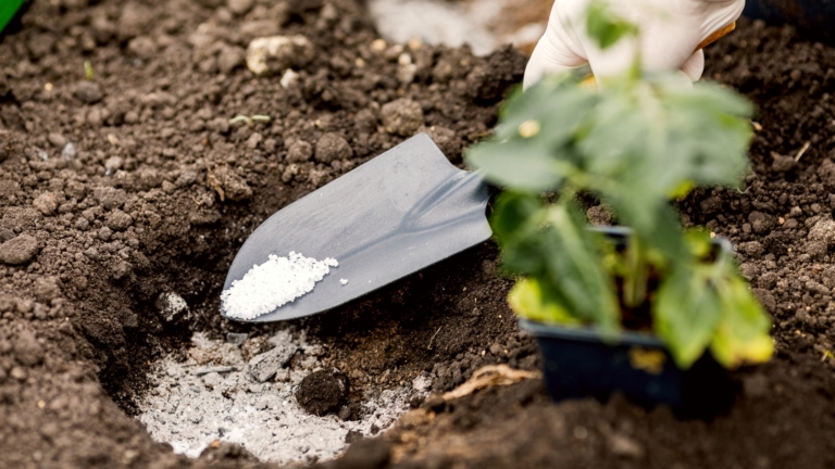 11 Tips for Fertilizing Your Garden this Spring