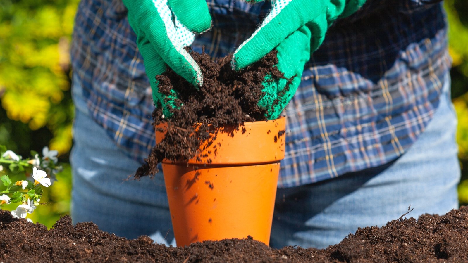 Close-up of a gardener filling a terracotta flower pot with soil in a sunny garden. The gardener is wearing light blue jeans, a blue and orange checkered shirt and green rubber gloves. The soil is loose, dark brown in color.