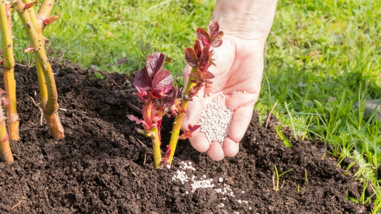 11 Gardening Tasks To Do in April For a Bountiful Spring Garden