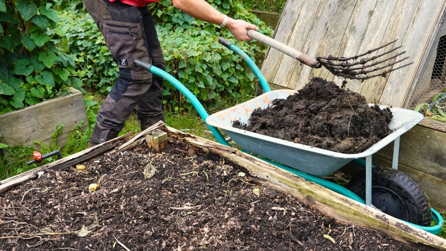 How to Refresh Raised Beds in Spring: 6 Pro Tips