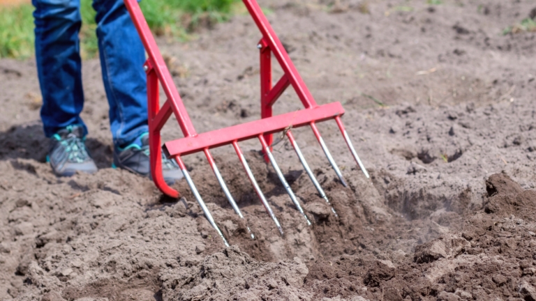 Modified Broadfork Adaptive Gardening: 25 Tips to Keep You Gardening As You Age