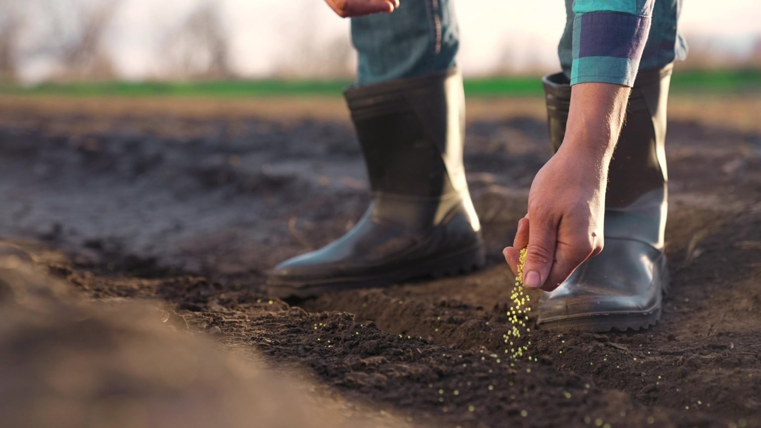 11 Gardening Tasks To Do in April For a Bountiful Spring Garden