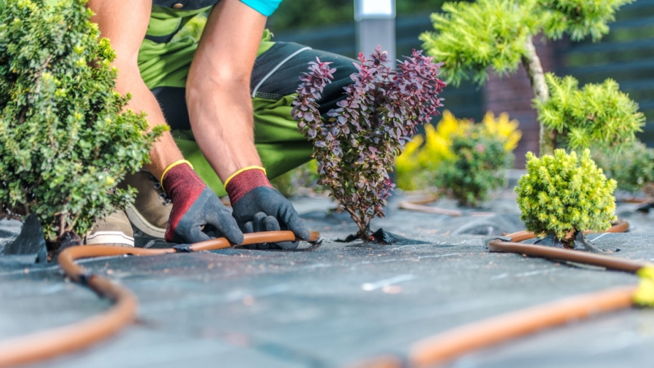 11 Gardening Tasks To Do in April For a Bountiful Spring Garden