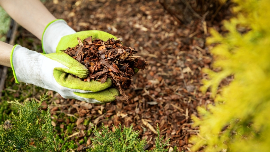 11 Gardening Tasks To Do in April For a Bountiful Spring Garden