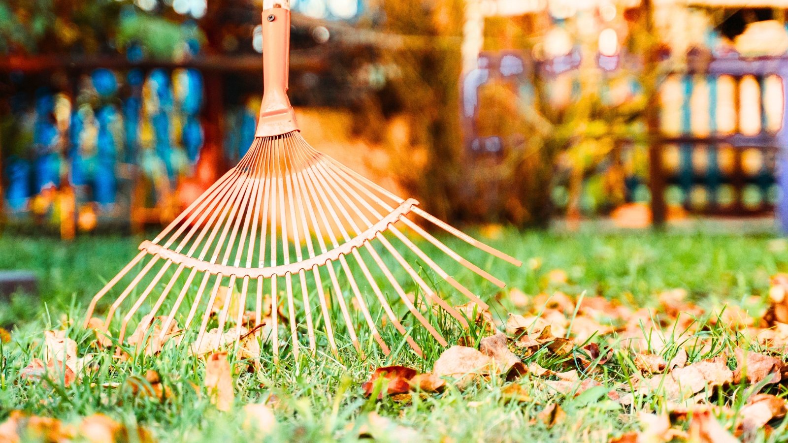 A copper rake, its metal tines gently gathering dried leaves strewn across meticulously manicured grass in a garden landscape. Golden sunlight casts a warm glow over the scene, illuminating the verdant beauty as the rake tends to nature's autumnal carpet.