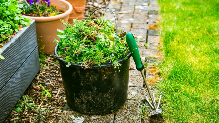11 Gardening Tasks To Do in April For a Bountiful Spring Garden