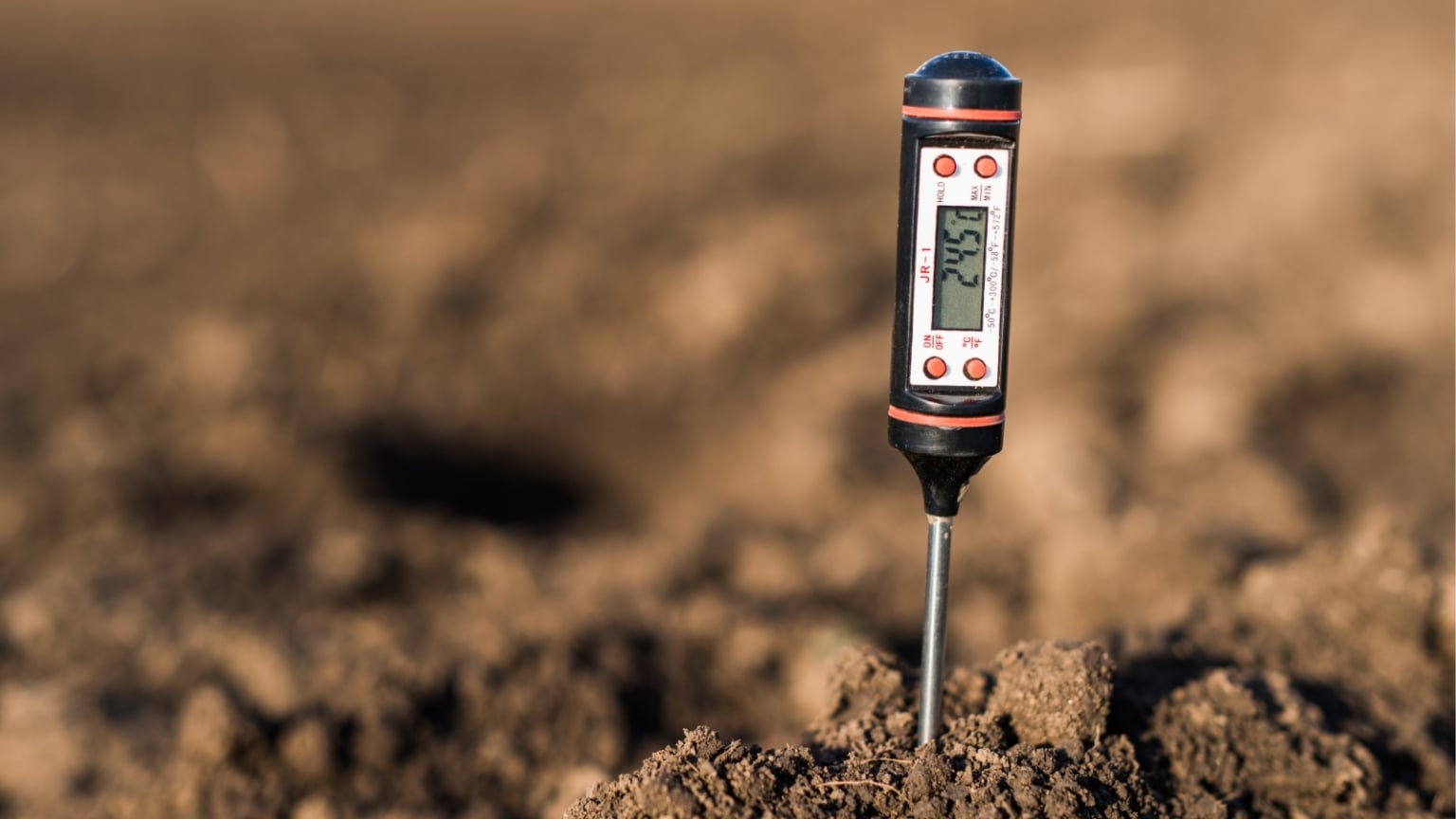 How to Adjust Your Soil pH For Blueberries