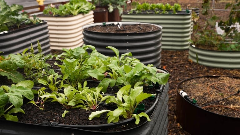 How To Fill A Tall Raised Garden Bed Quick & Easy