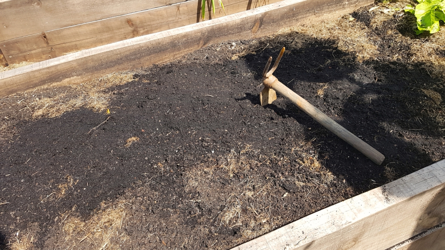 How to Refresh Raised Beds in Spring: 6 Pro Tips