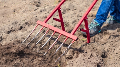 Soil 101: How to Create a Healthy Soil Microbiome