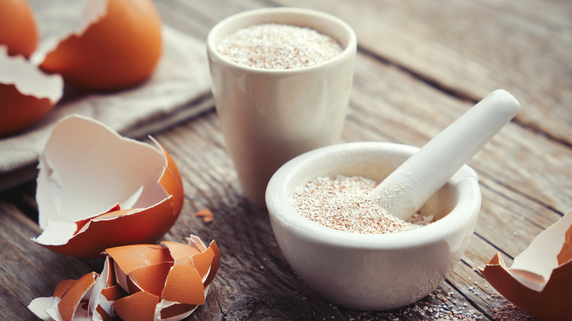 A small white dish and grinding rod, filled with a grainy powder, and a few eggs shells sitting on the wood table top, next to it.