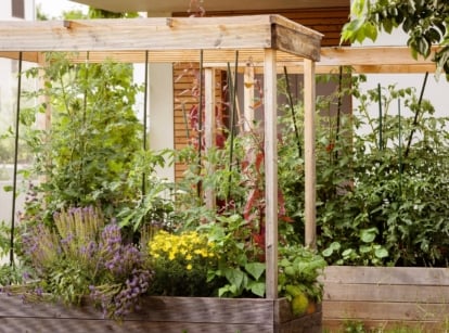 Wooden raised beds with trellis support climbing plants, sheltered by a roof overhang, hosting an array of vibrant flora in various stages of growth.