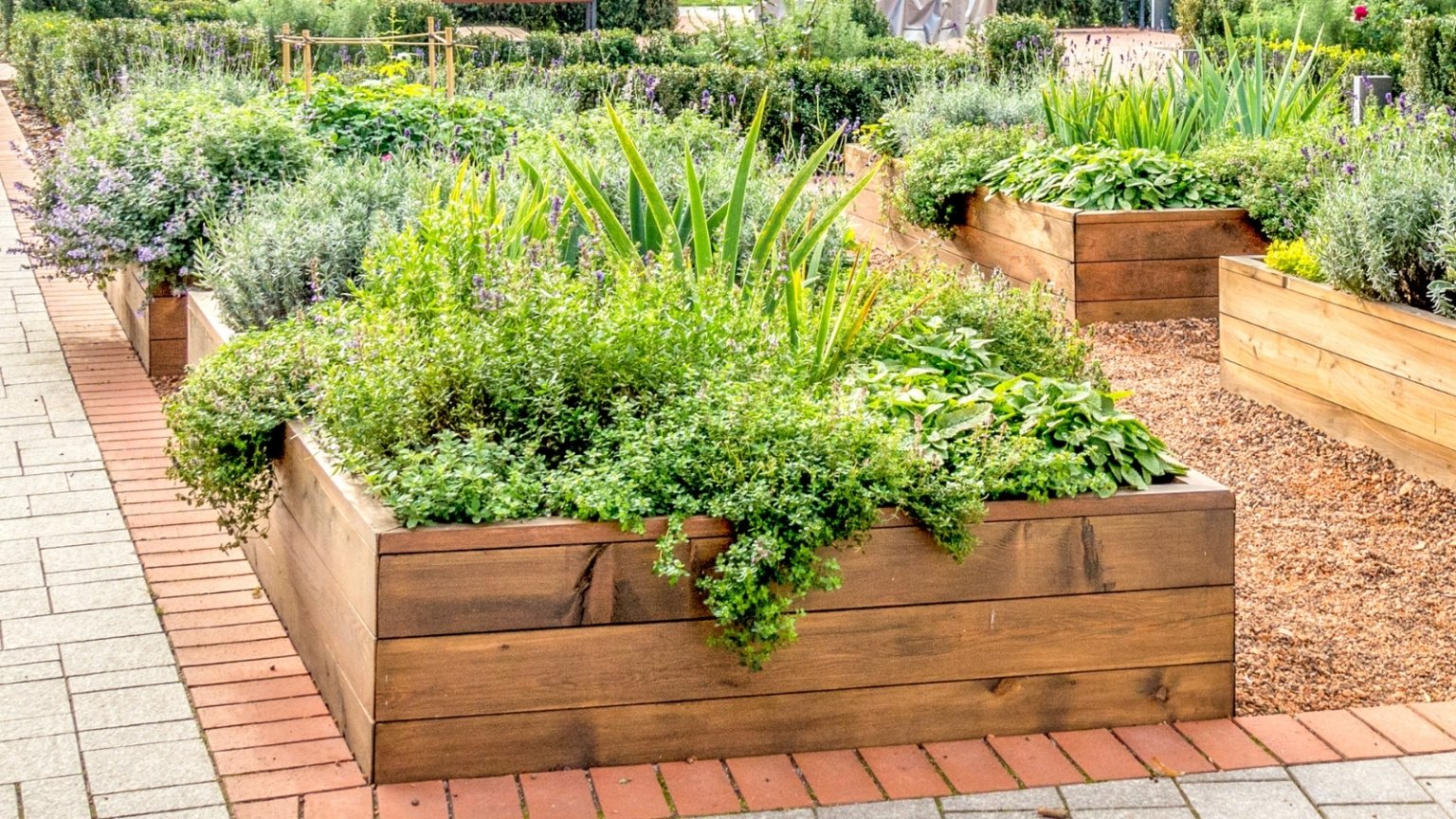 Where to Put Raised Beds in Your Garden 7 Location Tips