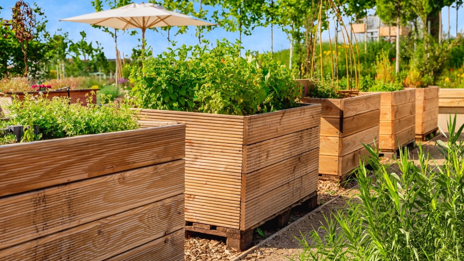 Wood vs. Metal Raised Beds Which is Better?