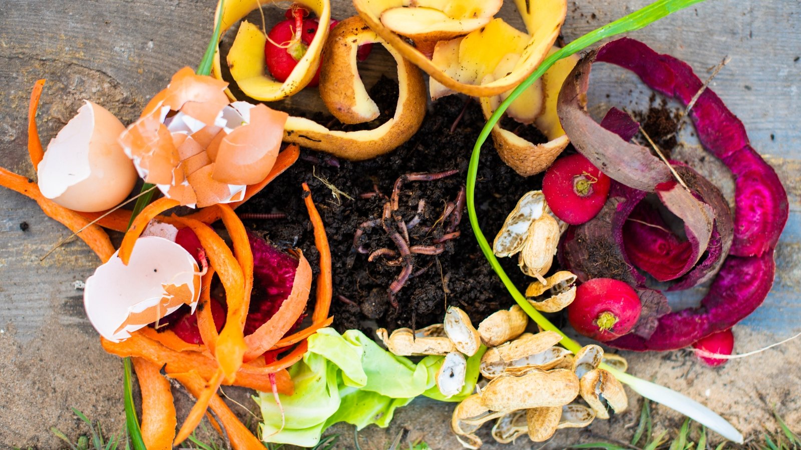 Close up of a pile of kitchen scraps, orange peels, peanut shells, shredded carrots, lettuce, surrounding a pile of dirt filled with earthworms.