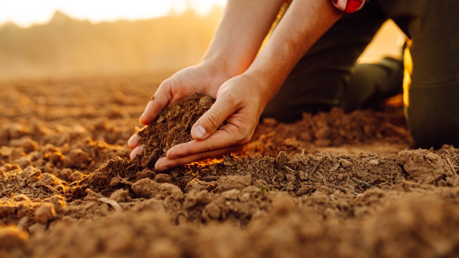 Soil 101: How to Create a Healthy Soil Microbiome
