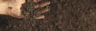 Close-up of a hand pouring healthy soil through its fingers against the background of soil in the garden.