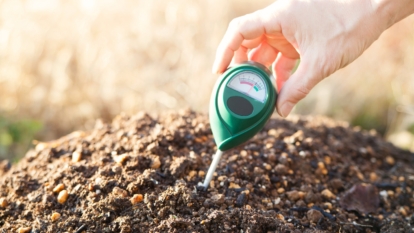 Understanding Your Soil Test Results: What to Do Next