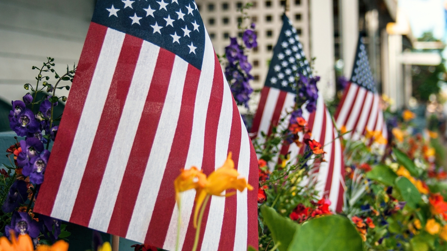 9 Patriotic Flower Bed Ideas for the 4th of July