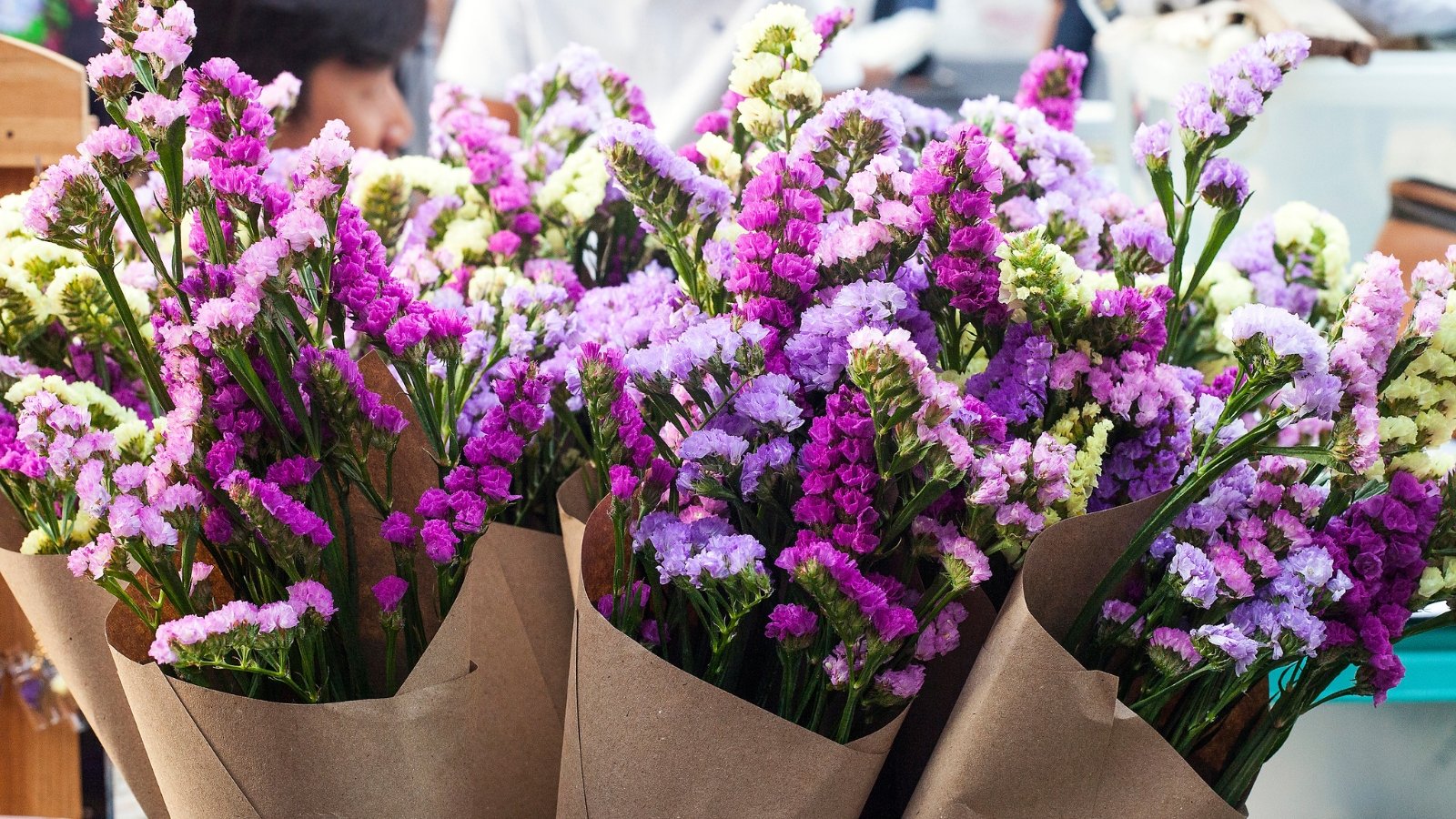 Bouquets of purple and lavender statice flowers wrapped elegantly in brown papers.