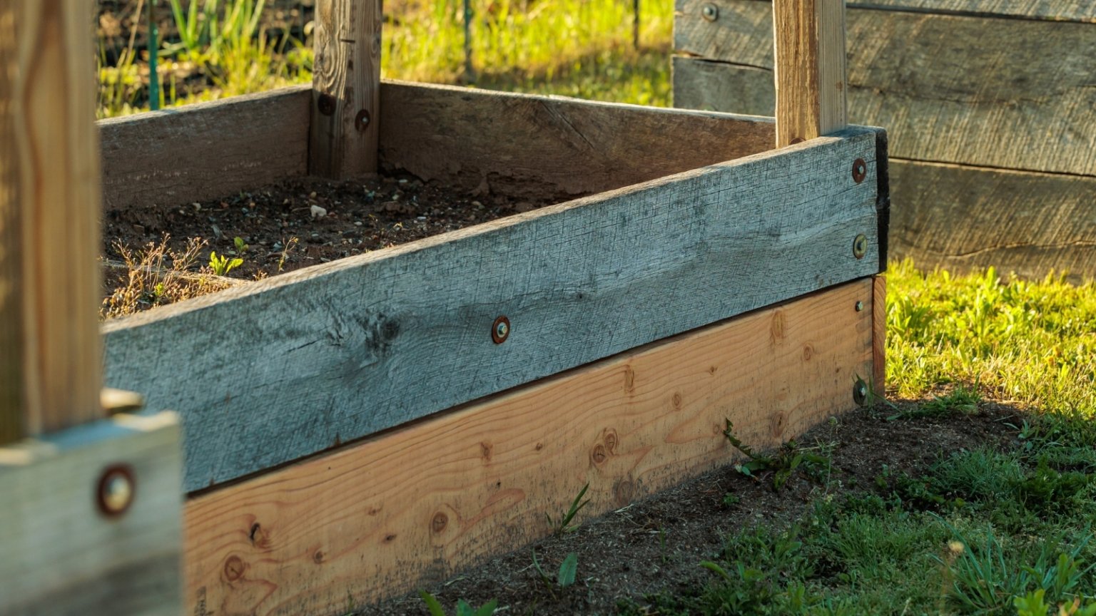 How to Grow Peppers in Raised Beds for an Abundant Harvest