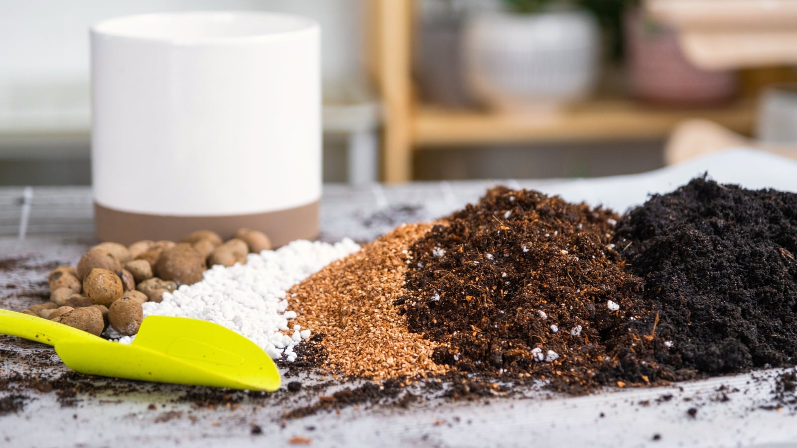 Six different organic amendments are scattered on the table to create high-quality soil.