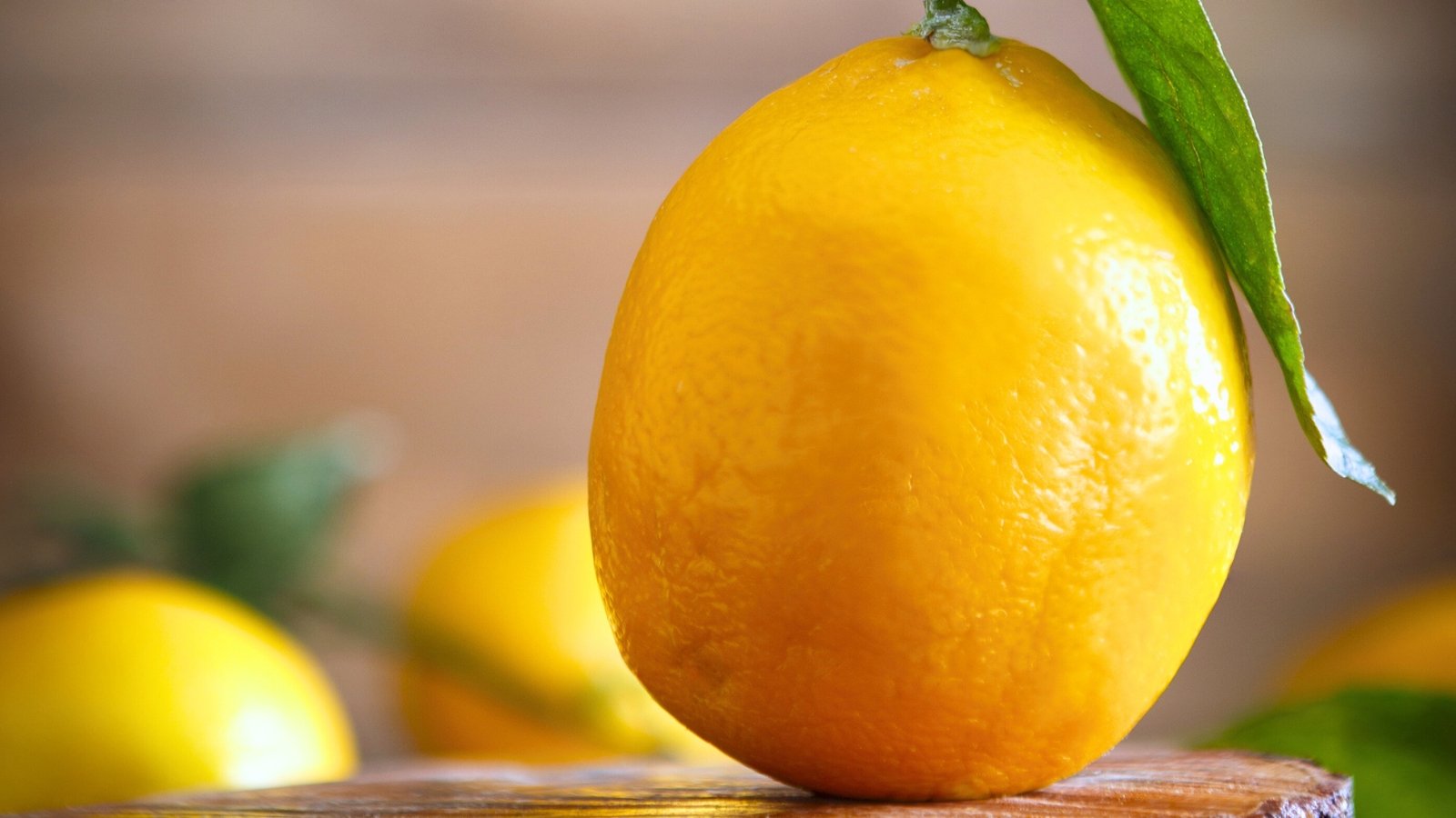 A ripe Meyer Lemon rests on a brown table, adorned with a single green leaf, with freshly picked Meyer Lemons in the background.