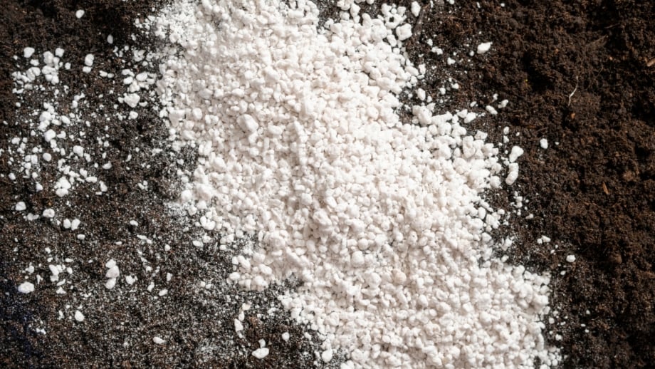 Perlite vs Vermiculite: What’s the Difference?
