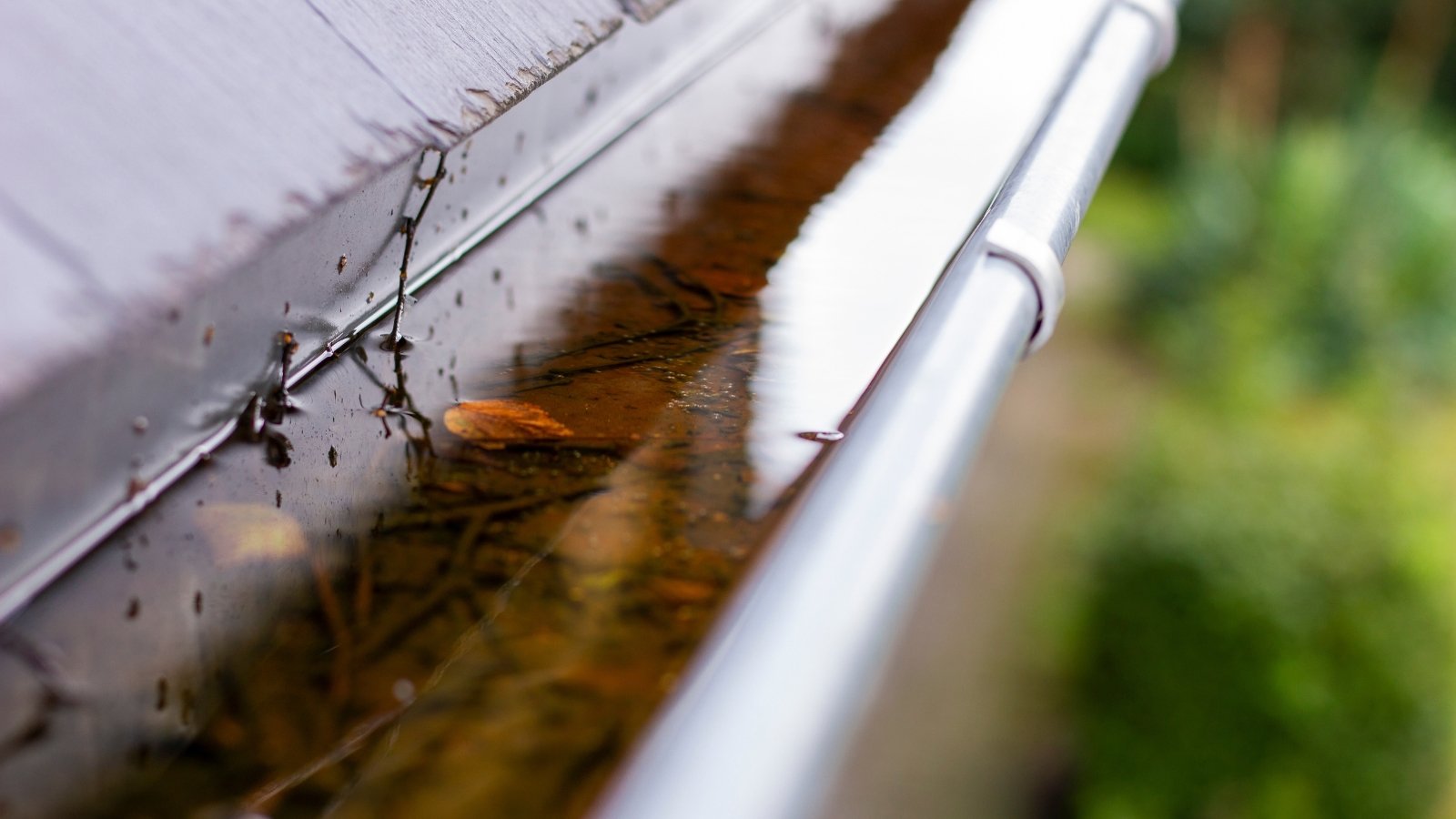 Close-up of a roof drain pipe filled with rainwater.