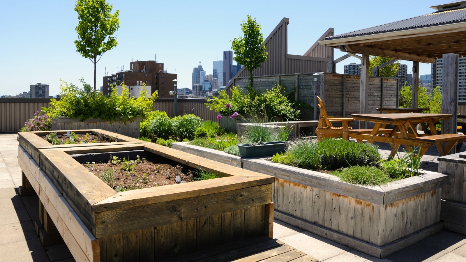 View of the rooftop garden with wooden raised beds, wooden table and chairs for relaxing.