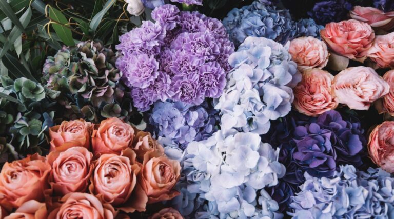 Hydrangeas And Roses 7 No-Fail Rose and Hydrangea Combos for Your Garden