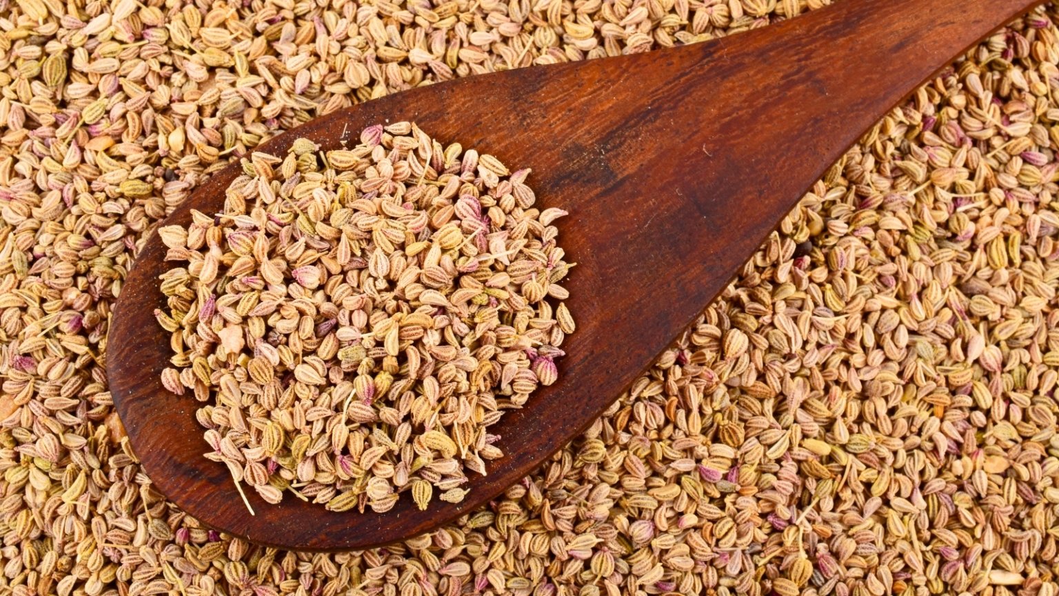 Dynamic Ammi Seeds Design Digital Art Dynamic Ammi Seeds Design Digital Art