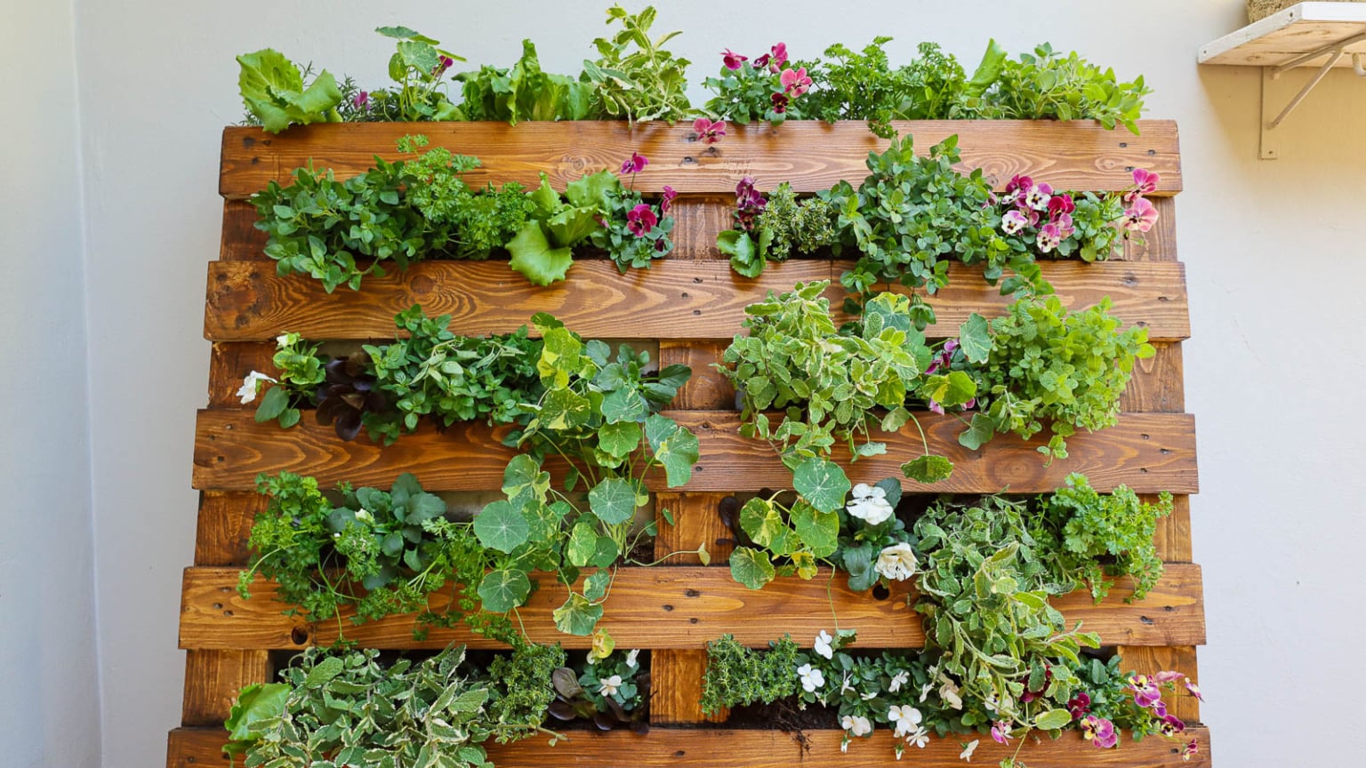 How to Build A DIY Pallet Garden in 6 Easy Steps
