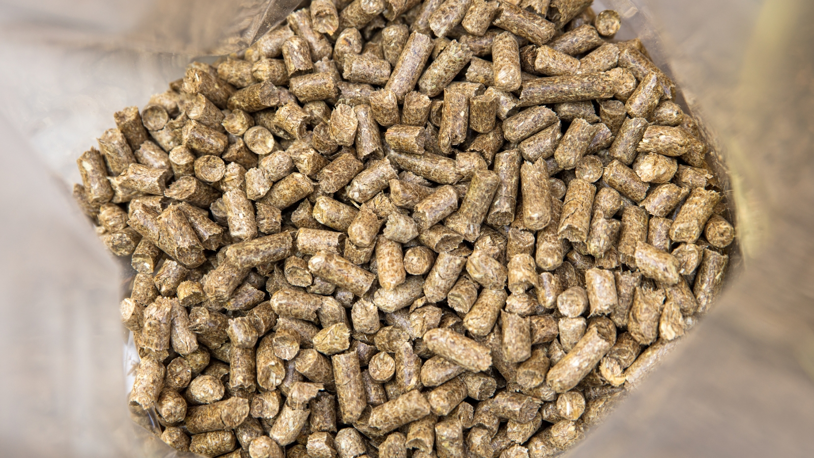 North Spore Hardwood Pellets For Mushroom Cultivation - Oak Blend For Oyster, Lion's Mane & More