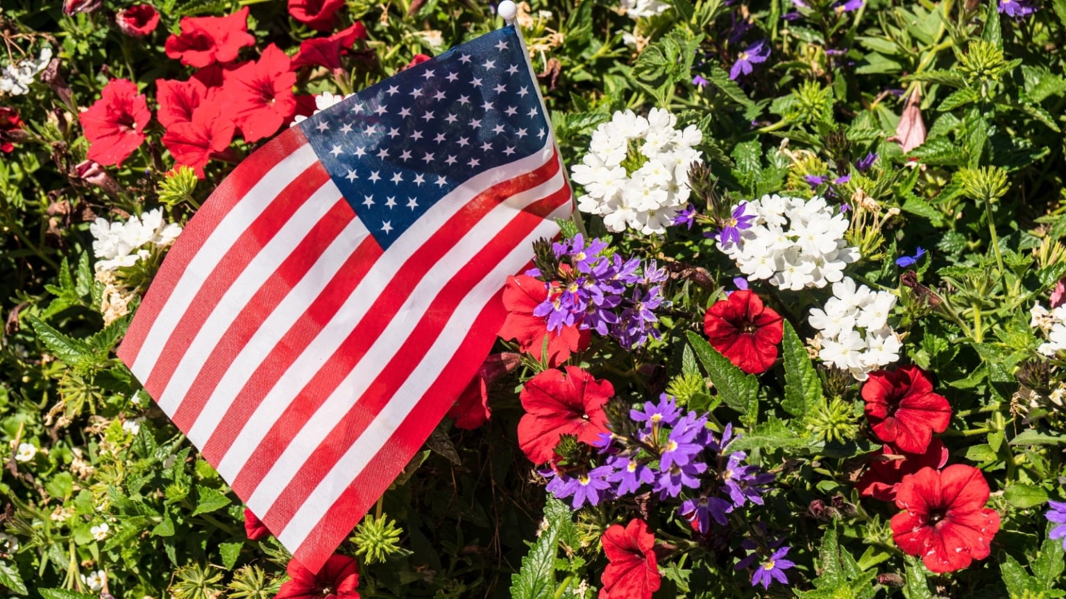 9 Patriotic Flower Bed Ideas for the 4th of July