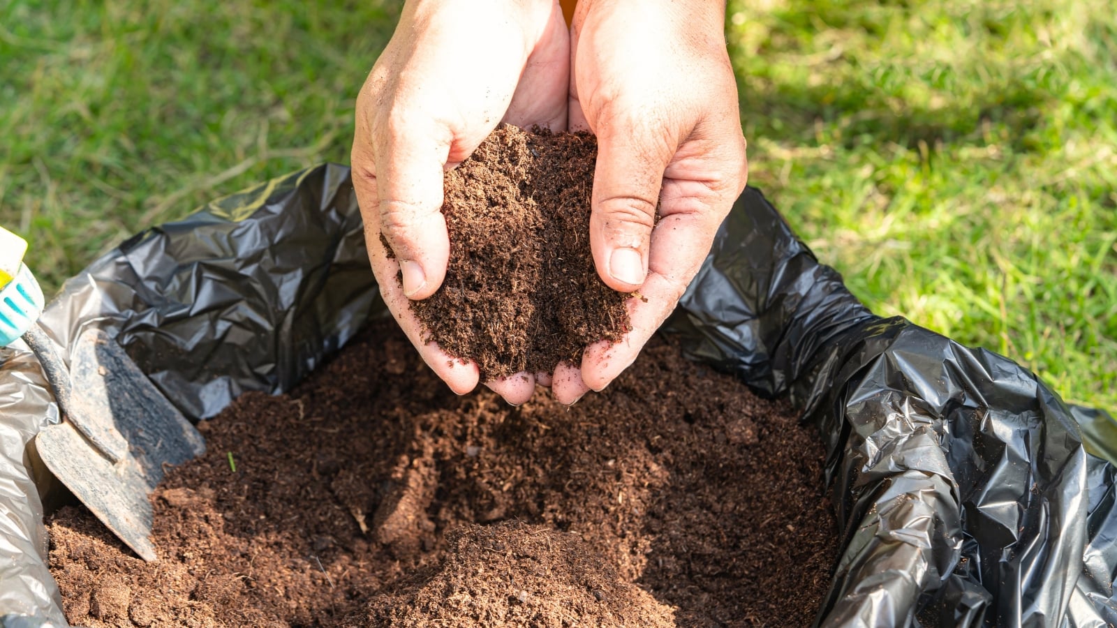 Close-up of a female gardener's hands holding a handful of fresh peat moss organic matter over a large bag of soil mixture in the garden.