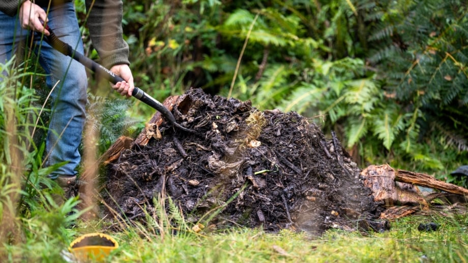How to Speed up Your Compost: 17 Strategies to Try