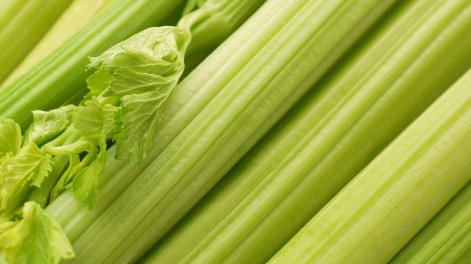 5 Tips For Growing Celery in Raised Beds