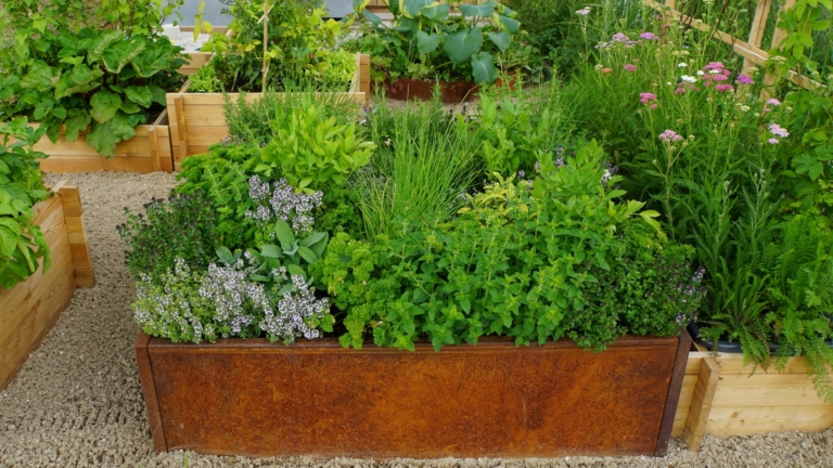How To Start a Raised Bed Garden in 9 Steps