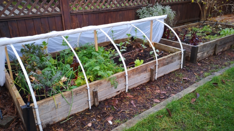How To Start a Raised Bed Garden in 9 Steps