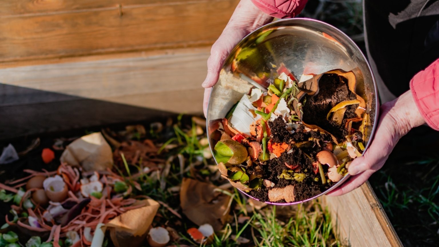 Compost Basics: How to Balance Greens and Browns