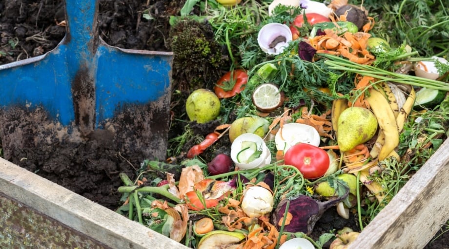 Compost Basics: How to Balance Greens and Browns