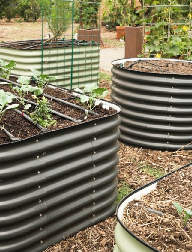 Epic Gardening: Simple, Practical Gardening Tips