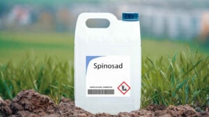 Spinosad Insecticides: How to Use Them Safely