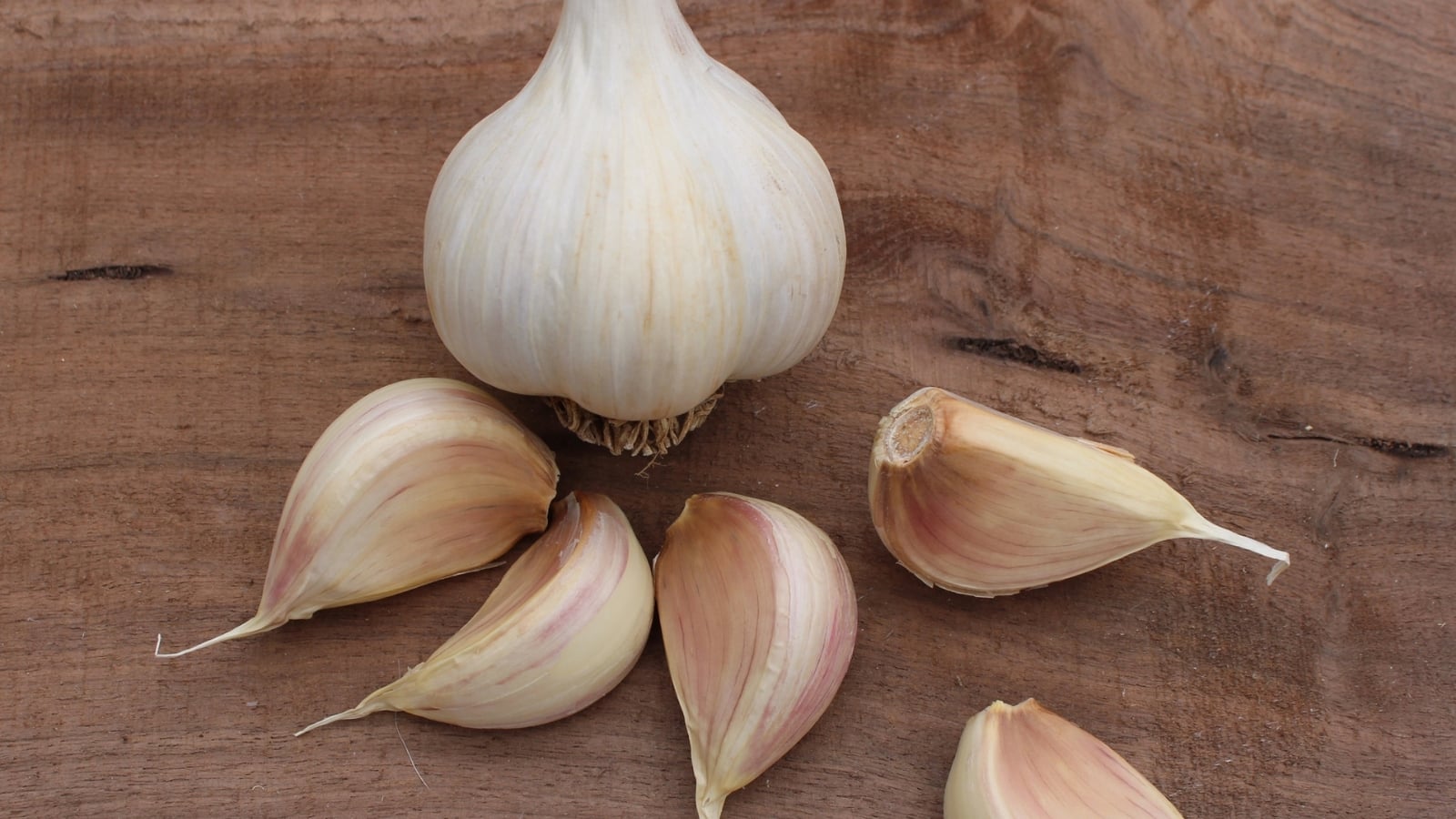 Close-up of a garlic bulb covered in a white papery layer, with individual cloves beside it, each enclosed in a purple-white husk.
