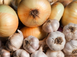 A pile of large, golden-brown allium bulbs mixed with smaller, papery-skinned allium bulbs, showing their overlapping layers and rough, dried roots.