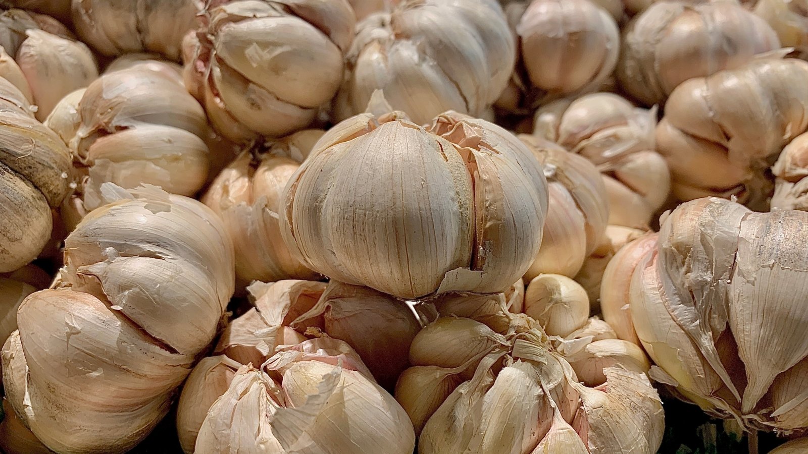 A cluster of round allium bulbs with a smooth, light-colored outer layer, displayed closely together in a heap.