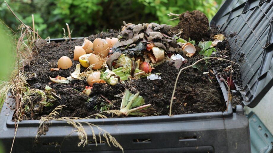 Compost Smells Why Your Compost Pile Smells Bad and How to Fix It