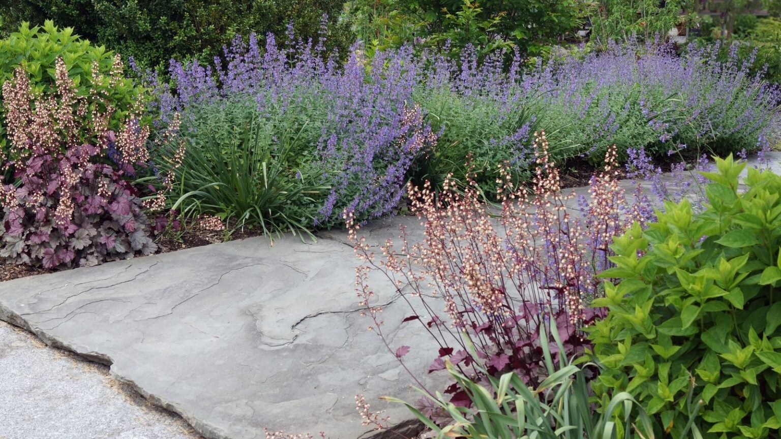 15 Plants That Provide Essential Nectar for Pollinators in Fall